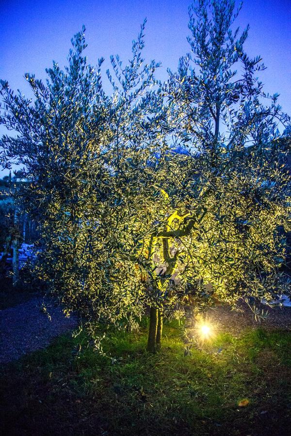 罗塞蒂农家乐 Montepulciano Stazione 外观 照片
