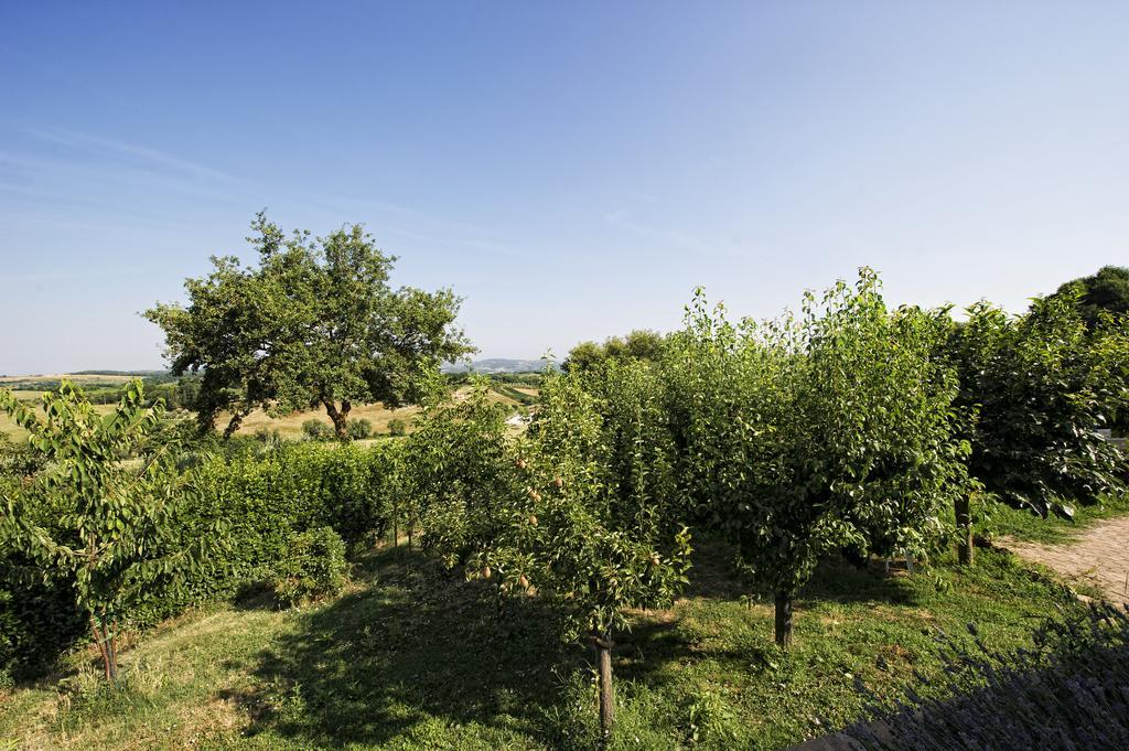 罗塞蒂农家乐 Montepulciano Stazione 客房 照片