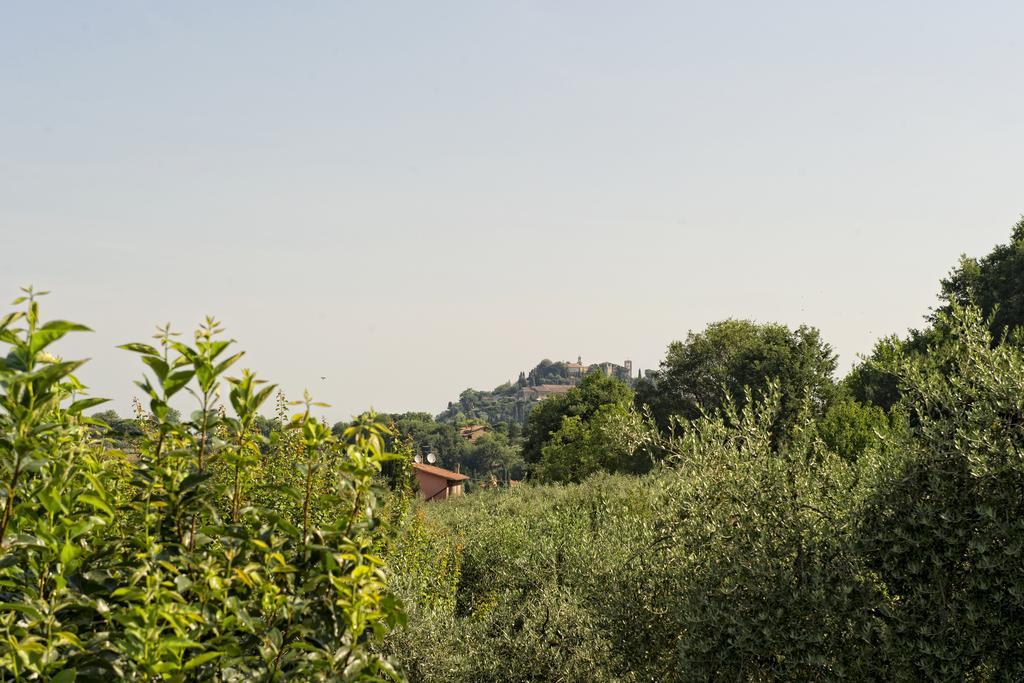 罗塞蒂农家乐 Montepulciano Stazione 客房 照片